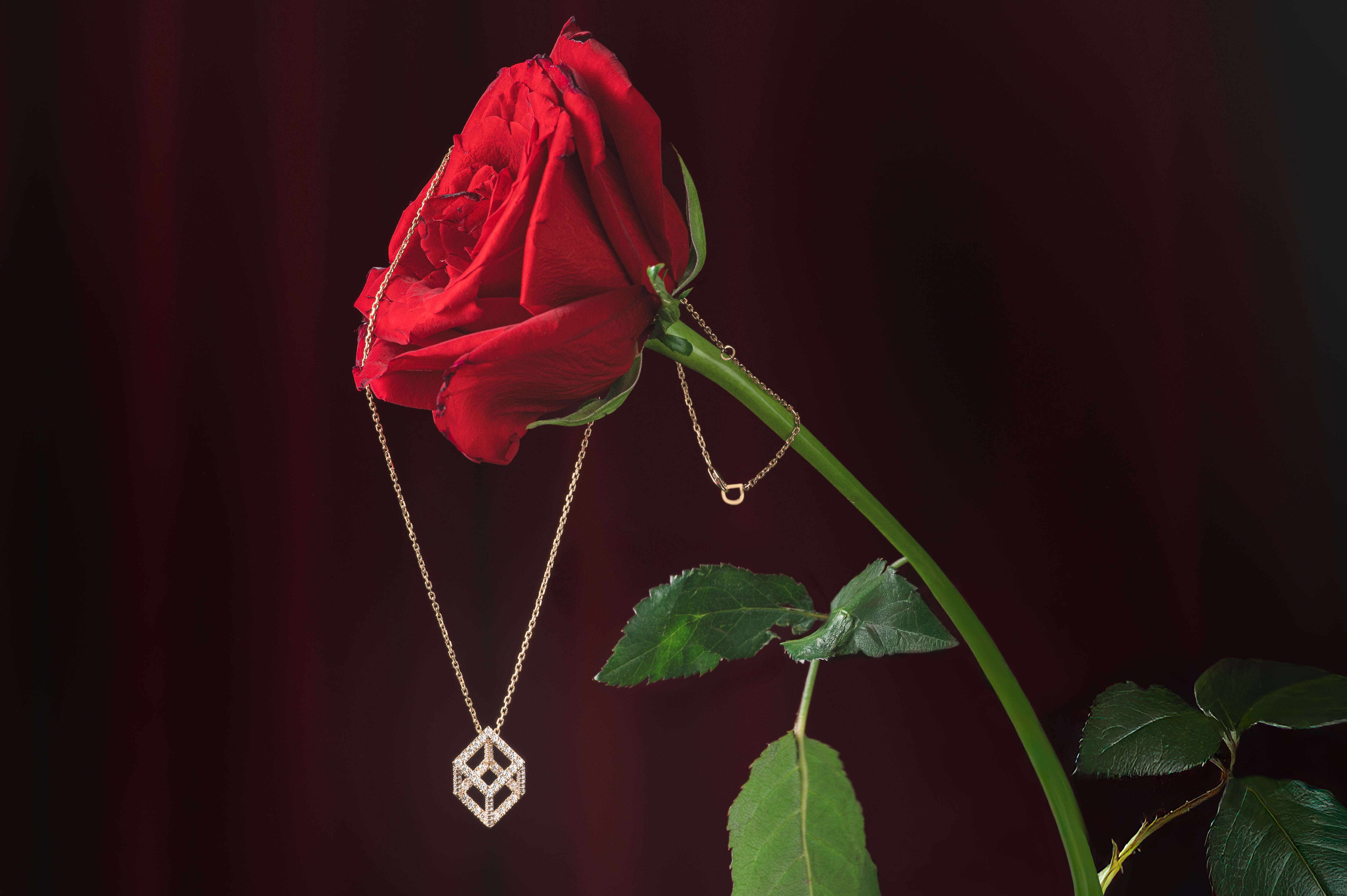 JKP_7067-Edit (2).jpg__PID:dc454b94-2f72-4551-8dcf-7d8ee12a56d2